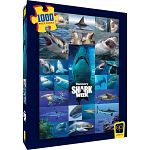 Shark Week