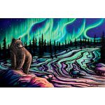 Sky Dance - Northern Light