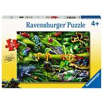 Amazing Amphibians - 35 XXL Pieces