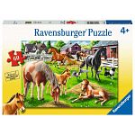 Happy Horses - 60 XXL Pieces