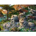 Wolves in Spring