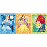 Disney Princesses: Beautiful Disney Pincesses