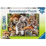Big Cat Nap - 200 XXL Pieces