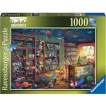 Abandoned: Tattered Toy Store
