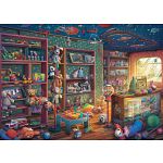 Abandoned: Tattered Toy Store