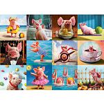 Funny Pigs
