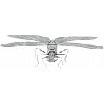 Metal Earth - Dragonfly