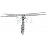 Metal Earth - Dragonfly