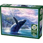 Leviathan Of Glacier Bay