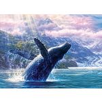 Leviathan Of Glacier Bay