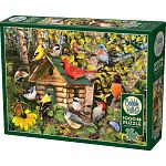 Bird Cabin