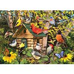 Bird Cabin