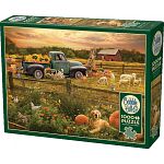 Harvest Time