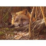 A Touch Of Warmth - Large Piece