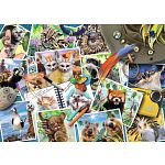 A Traveler's Animal Journal