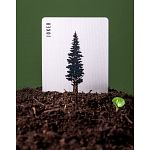 Smokey Bear Playing Cards