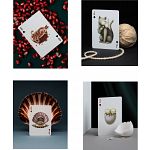 Cabinetarium Playing Cards