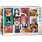 Funny Cats