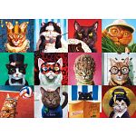 Funny Cats