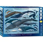 Whales & Dolphins