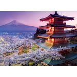 Mount Fuji, Japan
