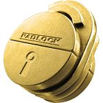 40th Anniversary Cast Padlock - Gold Limited Edition (Cancer)