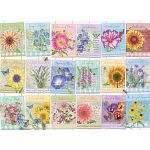Seed Packets - Large Piece