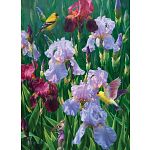 Spring Glory