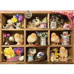 Chick Inn