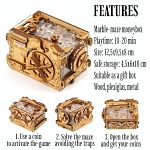 A-maze-ing Safe - Puzzle Money Box
