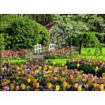Beautiful Gardens: Keukenhof Gardens Netherlands