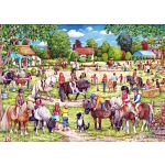 Shetland Pony Club