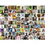99 Loveable Dogs - Large Piece Format