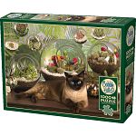 Terrarium Cat