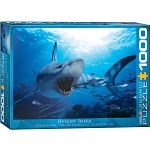 Hungry Shark