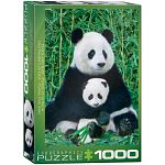 Panda and Baby
