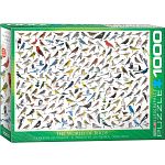 The World of Birds