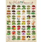 Herbs and Spices