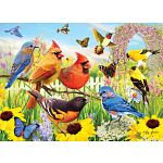 Bird Paradise - Greg Giordano