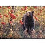Den Dreams - Large Piece