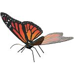 Metal Earth - Monarch Butterfly