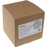 Ovolo - 8 Piece Burr Puzzle