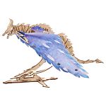 Mechanical Model - Windstorm Dragon