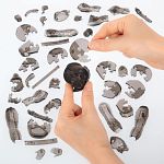 3D Crystal Puzzle - Gorilla & Baby