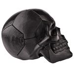 Skull Puzzle