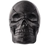 Skull Puzzle
