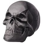 Skull Puzzle