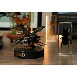 ROKR Mechanical Age Model - Stag Beetle