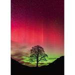 Power of Nature: Sycamore Gap