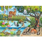 Animals Above and Below - 60 XXL Pieces